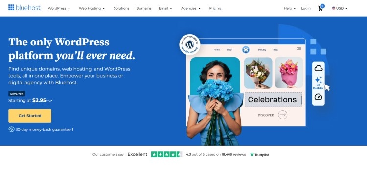 BlueHost