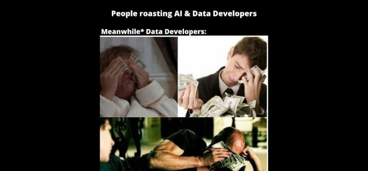 data developers